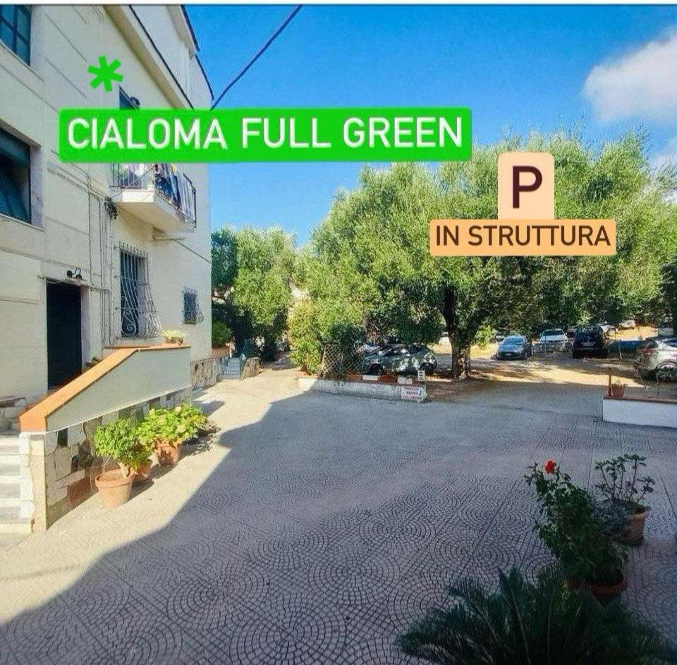 Cialoma Full Green 卡梅罗塔的码头 外观 照片
